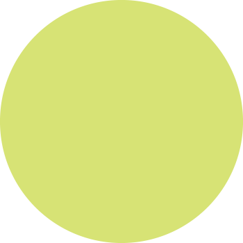 circle_yellow_grey